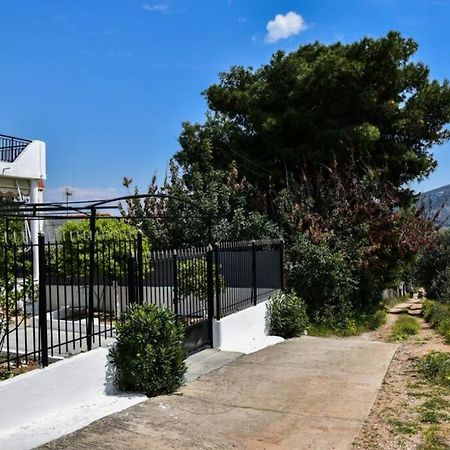 Μονοκατοικία Δίπλα Στην Θάλασσα Salamina Exterior foto
